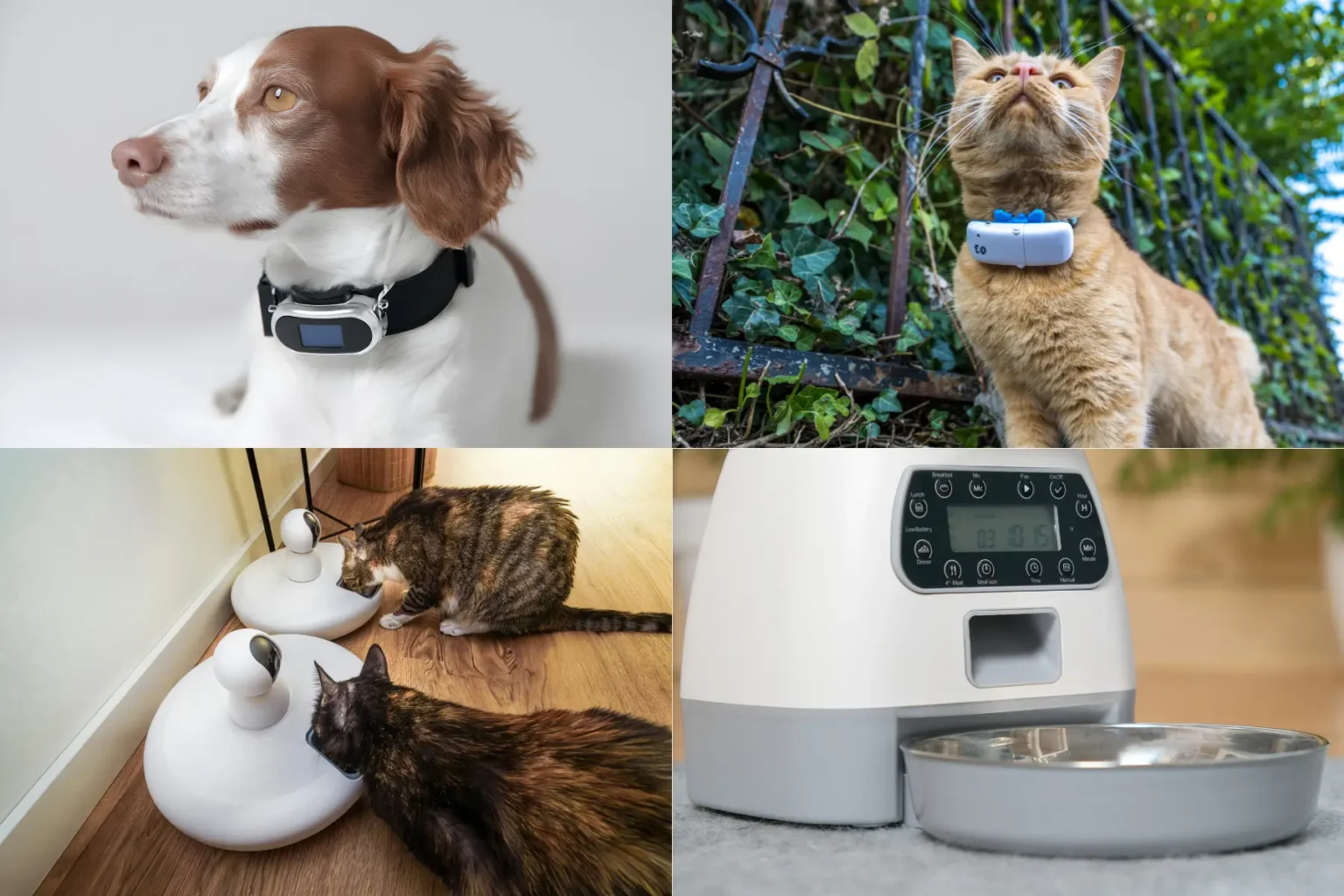 pet tech gadgets
